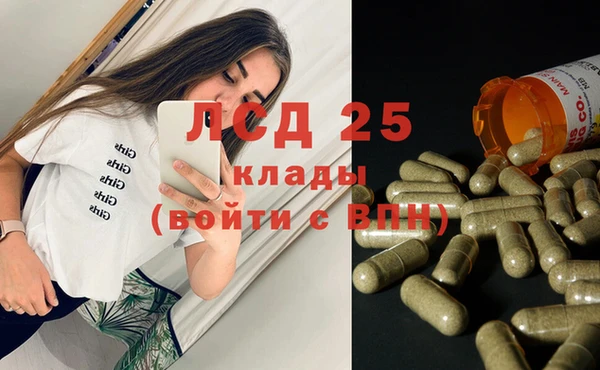 ПСИЛОЦИБИНОВЫЕ ГРИБЫ Белоозёрский