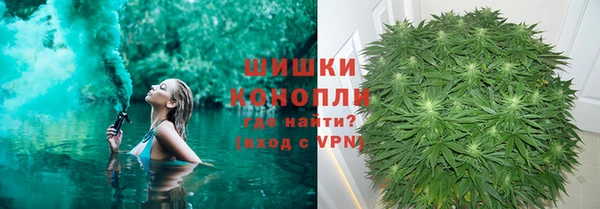 ПСИЛОЦИБИНОВЫЕ ГРИБЫ Белоозёрский