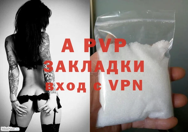 ПСИЛОЦИБИНОВЫЕ ГРИБЫ Белоозёрский