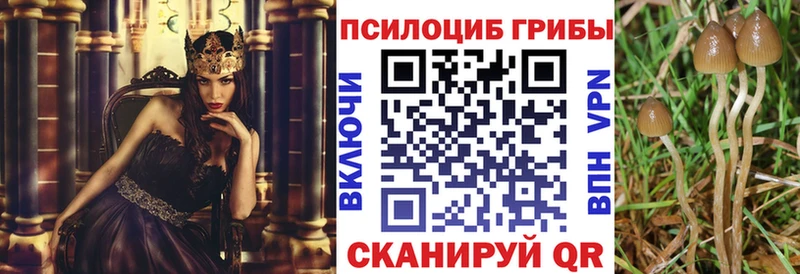 Псилоцибиновые грибы мицелий Светлый