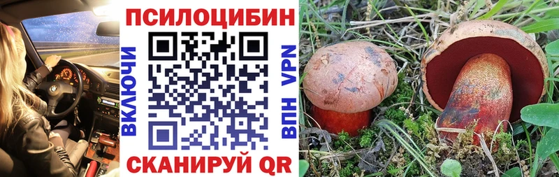 продажа наркотиков  Светлый  mega зеркало  Галлюциногенные грибы GOLDEN TEACHER 