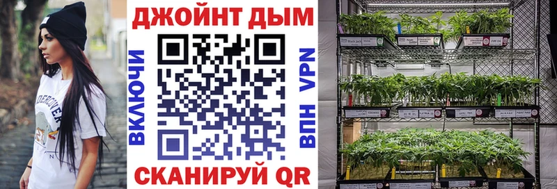 Каннабис план  Светлый 
